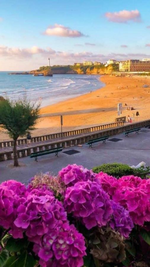 Residence La Croisiere- Appt Duplex 6 Personnes Anglet Bagian luar foto